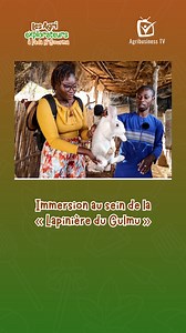 Passionné par la cuniculture, Harouna NIADA crée en 2019 la « Lapinière du Gulmu » avec 4 lapins. À ce jour, il en compte plus de 400 à son actif.🐇 #AgribusinessTV #AgriExplorateurs | Agribusiness TV