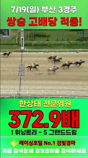 [Busan Horse Racing] July 19th Sunday Race 3, Expert Analyst Han Sang-tae Hits High-Payout Exacta...