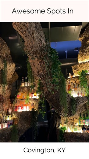 2.9K views · 29 reactions | One of our favorite spots in the city to...