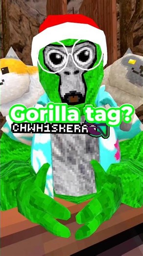 Can You Find Me? #gorillatag
