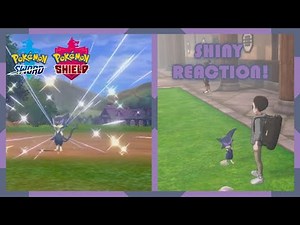 Shiny Purrloin after 1707 Random Encounters! | Pokemon Sword & Shield