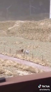 Is this real?!? 😮🌬 | TikTok