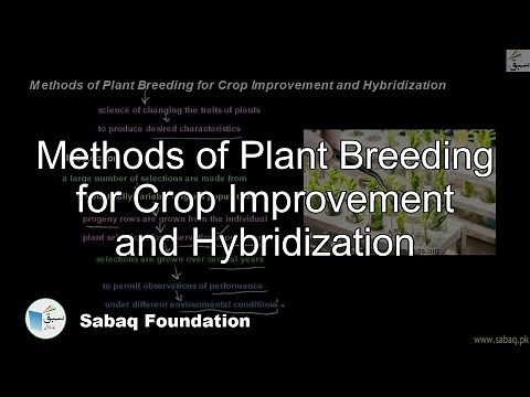 Methods of Plant Breeding for Crop Improvement, Biology Lecture | Sabaq.pk