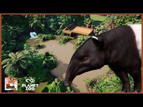 Building a COZY Little Tropical Lagoon for MALAYAN TAPIRS! 🌿🌴 | Ep. 4 | Speed Build | Planet Zoo 🦒