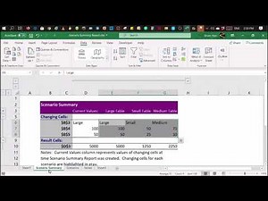 Scenario Summary Report (MS Excel Spreadsheet)