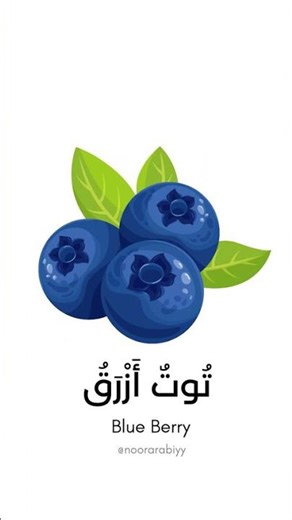 Fruits Vocabulary in Arabic
