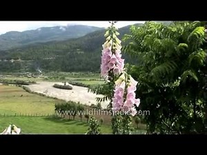 Bumthang : the sacred heart of the Bhutan country