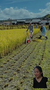 12K reactions · 749 shares | Hi tech na rice harvester #reels #farmer #machine #ideas #agriculture #highlights #everyone #followers | Jhing Sabordo Sabas | Facebook