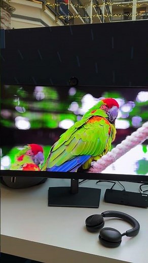 The Dell UltraSharp 32" 4K QD-OLED Monitor (U3226Q) - perfect color accuracy!