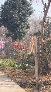 #fyp #tip #tips #tools (16) | Best tips 1