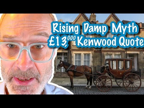 🚫£13K Rising Damp Myth Exposed! 🏠 Independent Survey vs. Kenwood Quote 🪱 #pca #rics