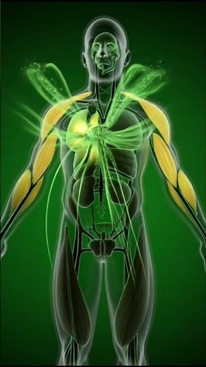 What Happens Inside Your Body After Drinking Coconut Water 🥥 | Shocking Health Benefits & Effects