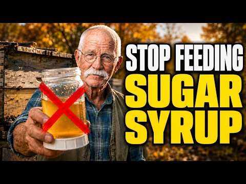 I Never Feed Sugar Syrup Before Checking These 7 Things - 50 Years With Bees