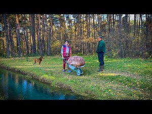 Real Rural Life in Ukraine in Autumn | Harvesting Soybeans and Preparing for Winter🍂