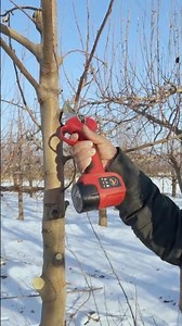 Easy Way to Cut Small Tree Branches 👍 #craft #outdoors #skills
