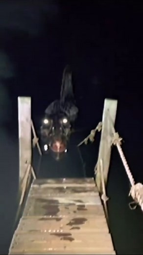 Spinosaurus Attack in Jurassic Park 3