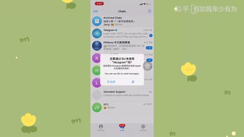 苹果（iOS）进入Telegram受限群组频道视频详细教程