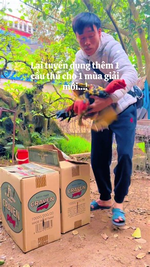 Ở đây có gà đẹp , ae vào xem cho vui nhé#c1 #gà_chọi_việt_nam #xuhuong #xuhuongtiktok