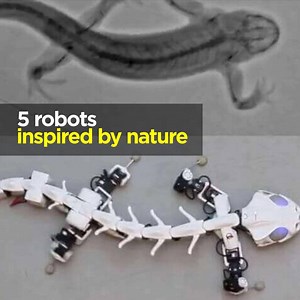 392K views · 164 reactions | Robots have come a long way. In 2018, expect them to become even more lifelike. | Australian Academy of Science | Facebook