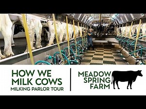 How We Milk Cows! Milking Parlor Tour