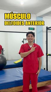 Función del músculo deltoides porción anterior. Muy activo en movimientos como levantar objetos, empujar o ejercicios de pecho y hombro. #fisioterapia #rehabilitacionfisica | Rehabilitación Integral de Tabasco