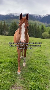 8K views · 305 reactions | It’s me. I needed to hear this. Spring is coming. ☀️ #wildandfree #1000hoursoutside #intentionalliving #springiscoming #springisintheair | The Willderness Family | Facebook