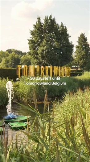 50 days left until Tomorrowland Belgium.