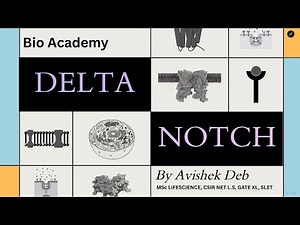 Delta-Notch signalling (Juxtacrine Signalling) || Alzheimer's disease || Detailed concept