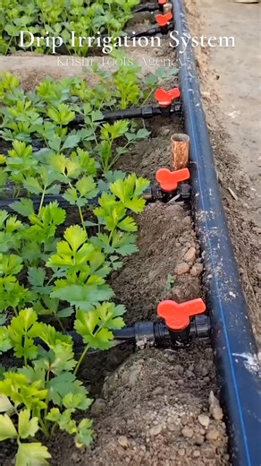 3.8K views · 1.4K reactions | लिंक पर क्लिक करें  यह Drip Irrigation System को खरीदने के लिए https://IndiaMART.in/v/kjrrKnLE #agriculture #drip #dripirrigation #new #viral #new #farming #tool #khetibadi #garden #instagram | Krishi Tools Agency | Facebook