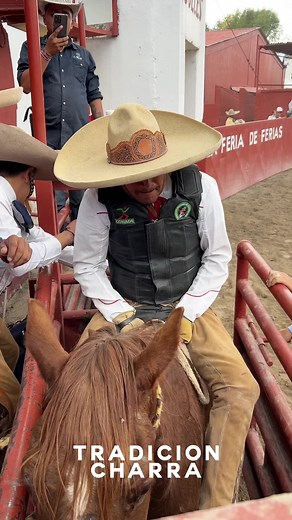 Jineteo de yegua 🔥#jinetes #yeguas #reparo #lienzocharro #lienzos #torneocharro #caballos #charros #charreria #charreando #tradicioncharra | Tradición Charra