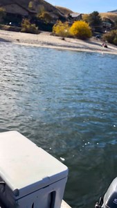 Wally’s Fishing Charters. Grab some friends & reel in the good times! Boatin’ Fishin’ & Lovin’ every minute of it! Snake River Steelhead Season is on! 🎣 #wallysfishingcharters #snakeriver #lewisclarkvalley #hellscanyon #steelheadaddicts Come get ya some in Hells Canyon USA 🇺🇸 | Wally’s Fishing Charters