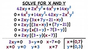 How Do You Use a Solve a Polynomial Equation With Two Variables? | Virtual Nerd
