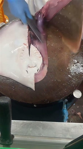 Amazing Stingray Cutting Skills at the Fish Market 🔥🐟 #Stingray #Shorts #fishcutting