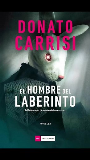 El Hombre del Laberinto: Sinopsis y Análisis