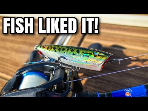Surprisingly Good Topwater Popper!