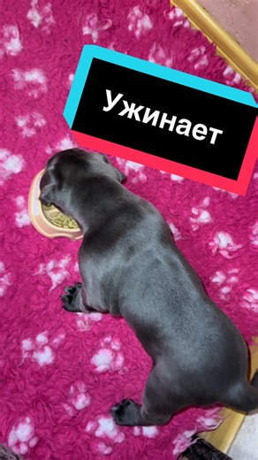 Відео користувача Infinity Glory 🇺🇦 (@infinity_glory_family) з композицією «Funny Smile - Eitan Epstein Music»