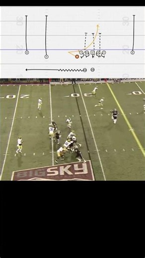 UC Davis Aggies RB Exit ➡️ Swing Screen Bluff ➡️ H-Back Middle Screen #nfl #football #coaching #cfb