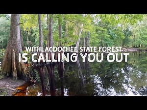 We're Calling You Out to Withlacoochee State Forest