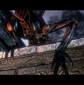 Orange & Black Halloween Xenos addon - Aliens vs. Predator (2010)