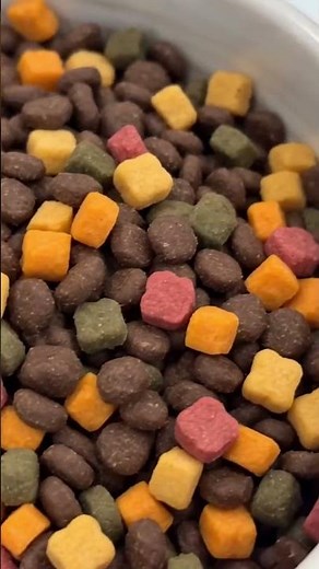 Meow Mix Original Choice Review — Does Your Cat REALLY Love It? 🐱🍗 #pets #animals