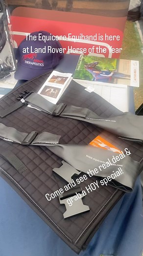 Come and see the original Equicore Equiband at Land Rover Horse of the Year & grab a super HOY special. All sizes available! | Animal Therapeutics Online | Facebook