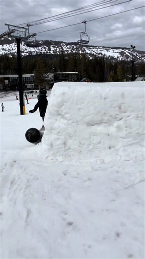 Sea Lion Fun on the Snowboard