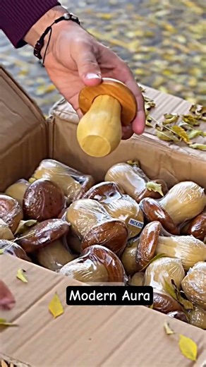 Natural Bamboo Salt & Pepper Shaker Set | Ahşap Baharatlık | Modern aura Kitchen Style#dinnerware