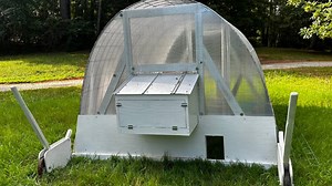 Why We Switched to Pastured Poultry | Cotton River Farm