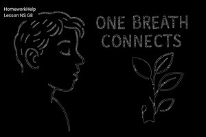 1K views | Grade 8 Video lesson term 1. We have all Subjects and full videos all grades #grade9 #grade10 #grade11 #grade12 #grade8 #grade7 #grade6 #grade4 | Homework Heaven. Mzansi | Facebook