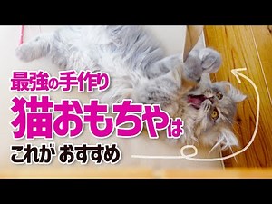【猫のおもちゃ自作】最強の猫用おもちゃを手作りしよう！【スコティッシュフォールド】