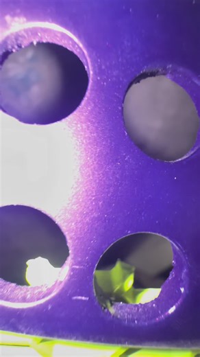 Exploring the Piaggio Zip SP MK1 Performance