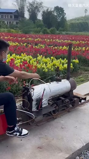 How Do These Tiny Steam Trains Actually Work? The Engineering Is Incredible! ️Hashtags: #MiniSteamTrain #SteamPower #TinyTrains #TrainMechanics #ModelEngineering #LocomotiveLove #TrainTok #EngineeringWonders #SteamEngine #MechanicalMarvels | Waqas Waqas | Facebook