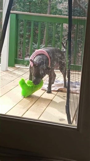 Why My Windows Won't Stay Clean