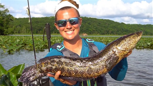 Kayak fishing for invasive snakehead in Virginia